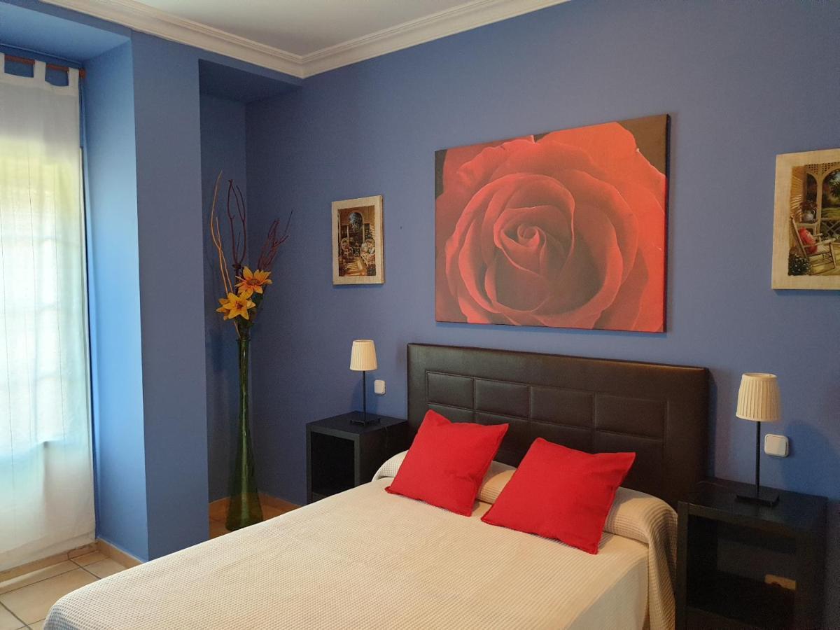 Dana Apartament